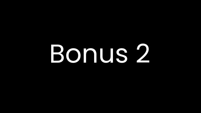 wordpress-bonus2